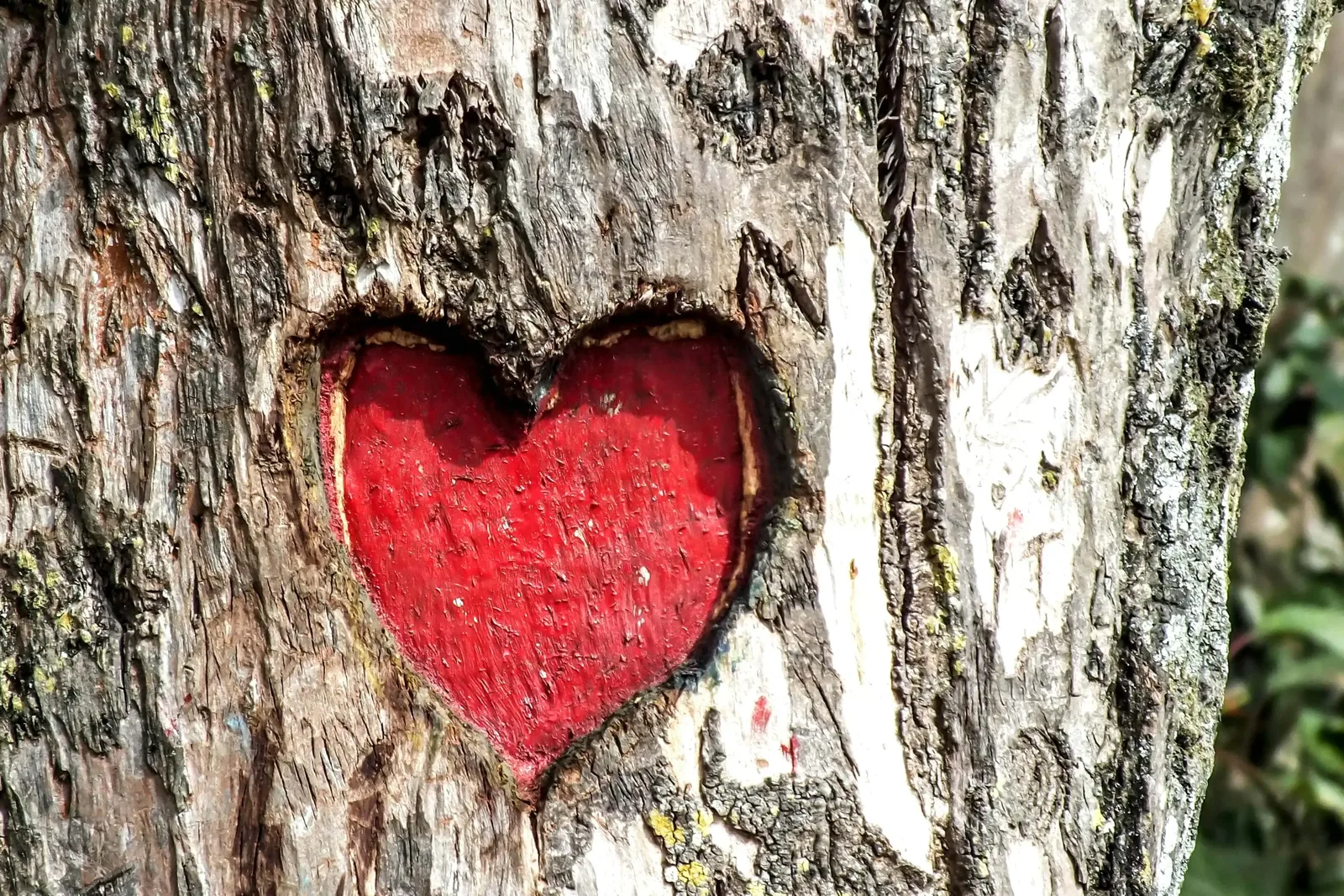 God's Endless Love