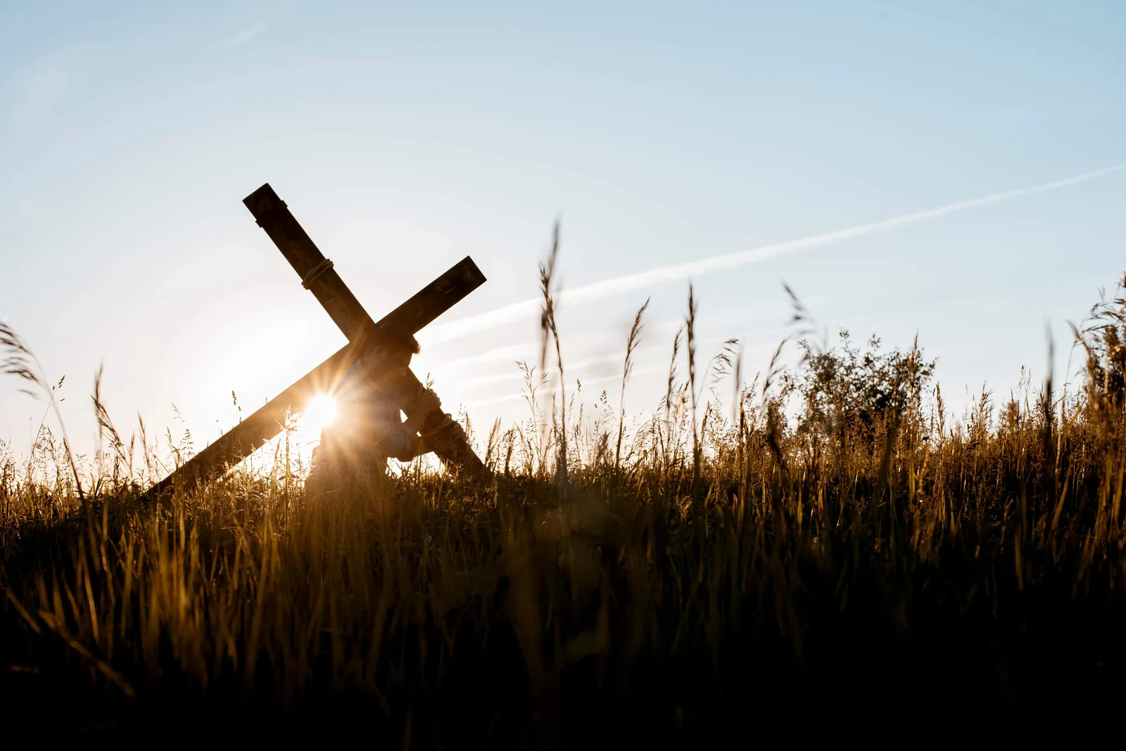 Responses of faith and love